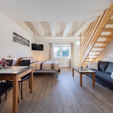Apartmany Sophia 7 Velké Losiny 外观 照片