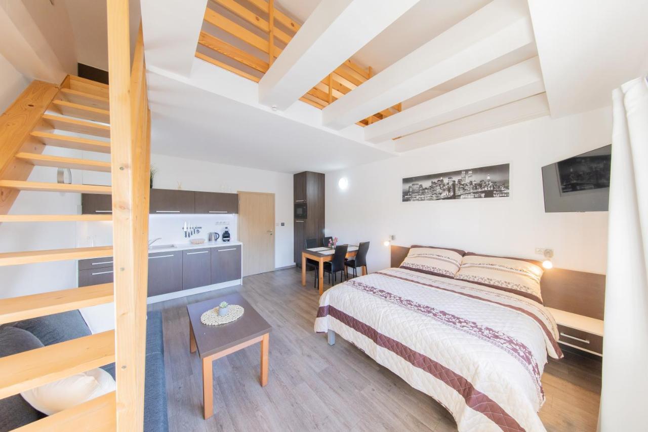 Apartmany Sophia 7 Velké Losiny 外观 照片